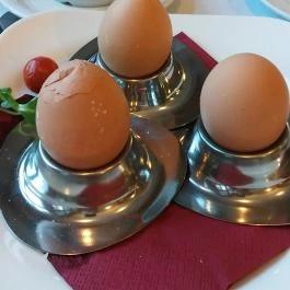 Hotel Tókert Lillafüred - Vendéglátás