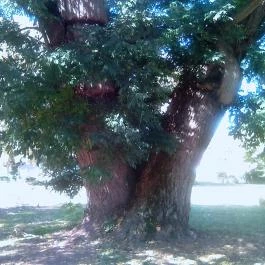 Hunor Hotel és Étterem Vásárosnamény - Környék