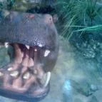 Hunor Hotel és Étterem Vásárosnamény - Környék