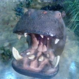 Hunor Hotel és Étterem Vásárosnamény - Környék