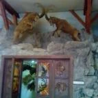 Hunor Hotel és Étterem Vásárosnamény - Környék