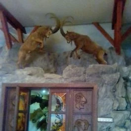 Hunor Hotel és Étterem Vásárosnamény - Környék