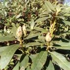 Korona Szálló Sárvár - Környék