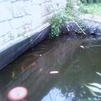 Lillafüred Kapuja Mini Hotel Lillafüred - Egyéb