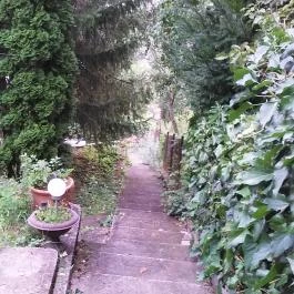 Lillafüred Kapuja Mini Hotel, Lillafüred - Környék