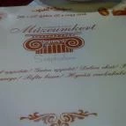 Múzeumkert Vendéglő és Panzió Sátoraljaújhely - Egyéb