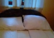 Múzeumkert Vendéglő és Panzió Sátoraljaújhely