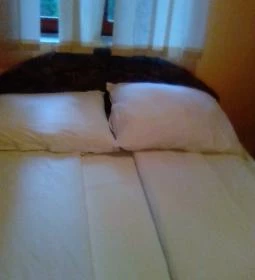 Múzeumkert Vendéglő és Panzió 