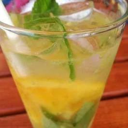 Nautilus Hajós Bár, Esztergom - Egyéb