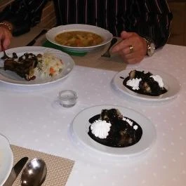 Nefelejcs Hotel, Mezőkövesd - Vendéglátás