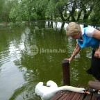 Nyerges Hotel Termál - Albion Étterem Monor - Egyéb