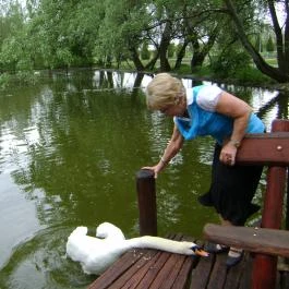 Nyerges Hotel Termál - Albion Étterem, Monor - Egyéb