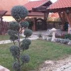 Nyilas Fogadó Nyíregyháza - Környék