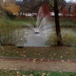 Open Hotel, Szentes - Környék