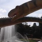 Orchidea Apartman Mórahalom - Környék