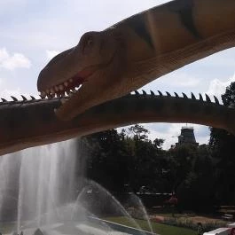 Orchidea Apartman, Mórahalom - Környék