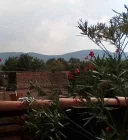 Öreg Sváb Étterem