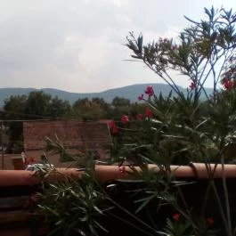 Öreg Sváb Étterem, Üröm - Külső kép