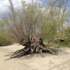 Part Café Dunakeszi - Egyéb