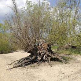 Part Café, Dunakeszi - Egyéb