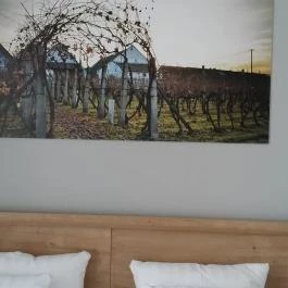 Pilvax Hotel, Kalocsa - Szobák