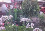 Ráday Apartman Makó Ráday Apartman Makó