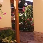 Ráday Apartman Makó - Medence/kert