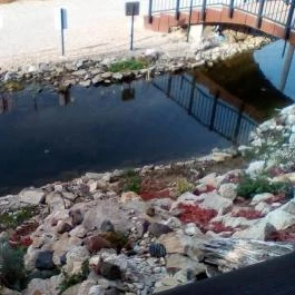 Az Idill, Cserszegtomaj - Medence/kert