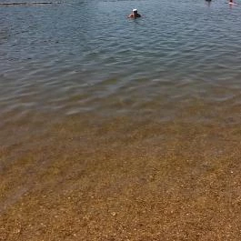 Tassi Halászcsárda, Tass - Egyéb