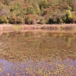 Tengerszem Szálló, Jósvafő - Környék