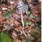 Tengerszem Szálló Jósvafő - Környék