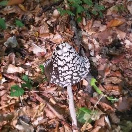 Tengerszem Szálló, Jósvafő - Környék