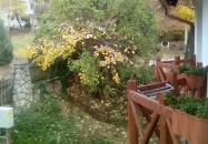 Termál Panzió Igal