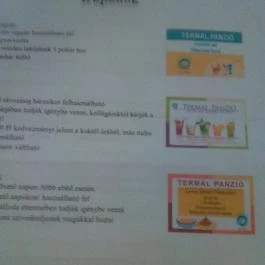 Termál Panzió Igal - Egyéb