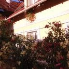 Sóvirág Termál Panzió Hajdúnánás - Külső kép