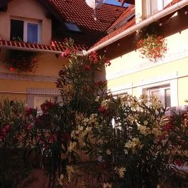 Sóvirág Termál Panzió, Hajdúnánás - Külső kép