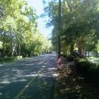 Sóvirág Termál Panzió Hajdúnánás - Környék