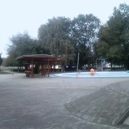 Sóvirág Termál Panzió, Hajdúnánás - Medence/kert