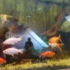 Thermál Park Hotel Egerszalók - Belső