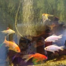 Thermál Park Hotel, Egerszalók - Belső