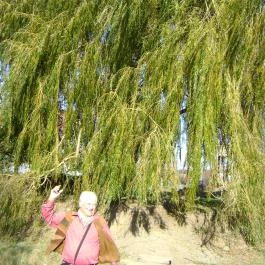 Tókert Fogadó, Nagymányok - Környék