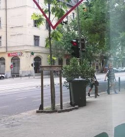 Vegan Love - Vegan Street Food