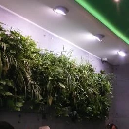 Vegan Love - Vegan Street Food, Budapest - Belső