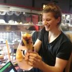 Wasabi Running Sushi & Wok Restaurant - Szépvölgyi út Budapest - Étel/ital