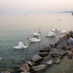 Hotel Marina-Port Balatonkenese - Környék