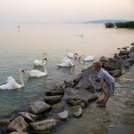 Hotel Marina-Port Balatonkenese - Környék
