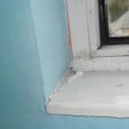 Oázis Wellness Park Panzió Szigetszentmiklós - Egyéb