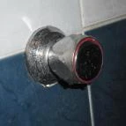 Oázis Wellness Park Panzió Szigetszentmiklós - Egyéb