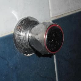 Oázis Wellness Park Panzió Szigetszentmiklós - Egyéb