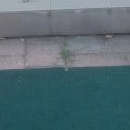 Hotel Atlantis Wellness & Conference Hajdúszoboszló - Medence/kert